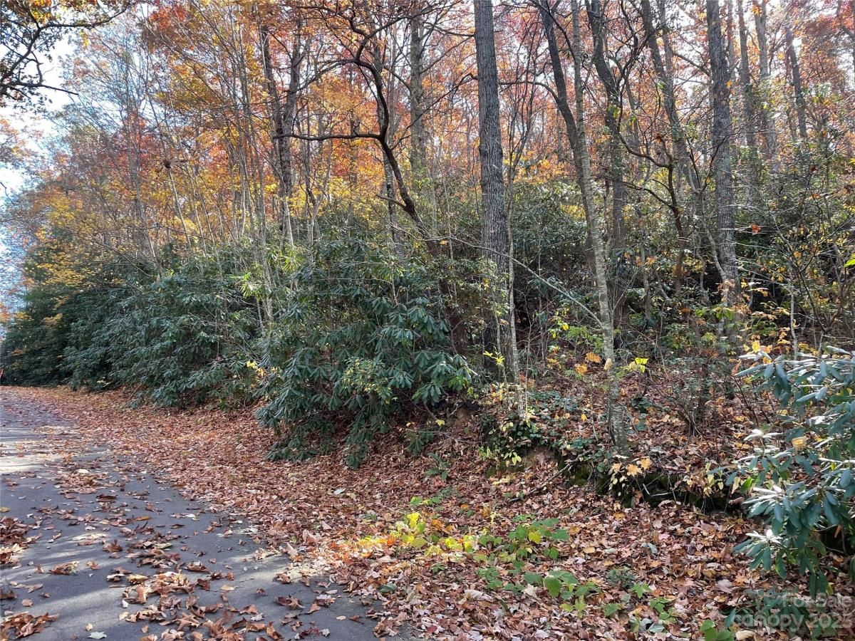 MLS #CAR4083031 image #2