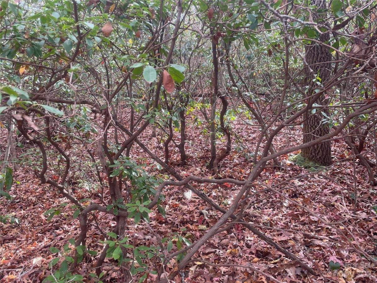 MLS #CAR4083031 image #20