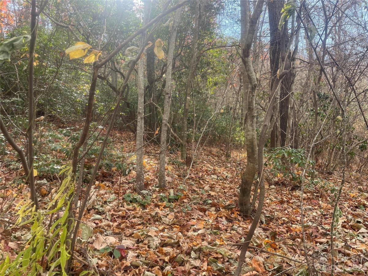 MLS #CAR4083031 image #21