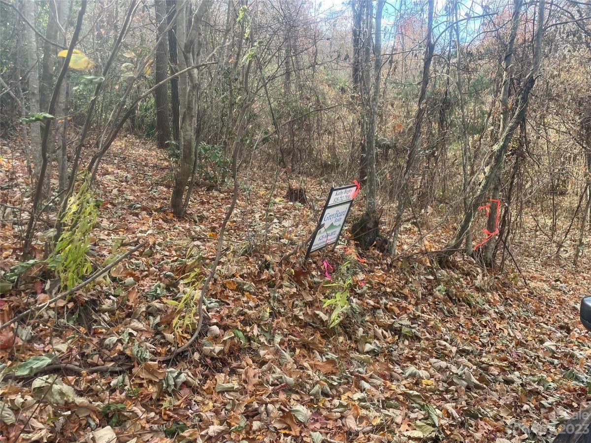 MLS #CAR4083031 image #22