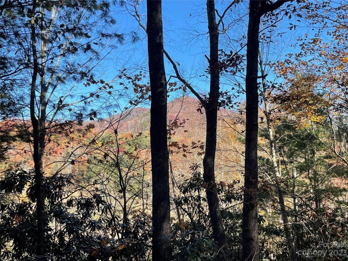 MLS #CAR4083031 image #3