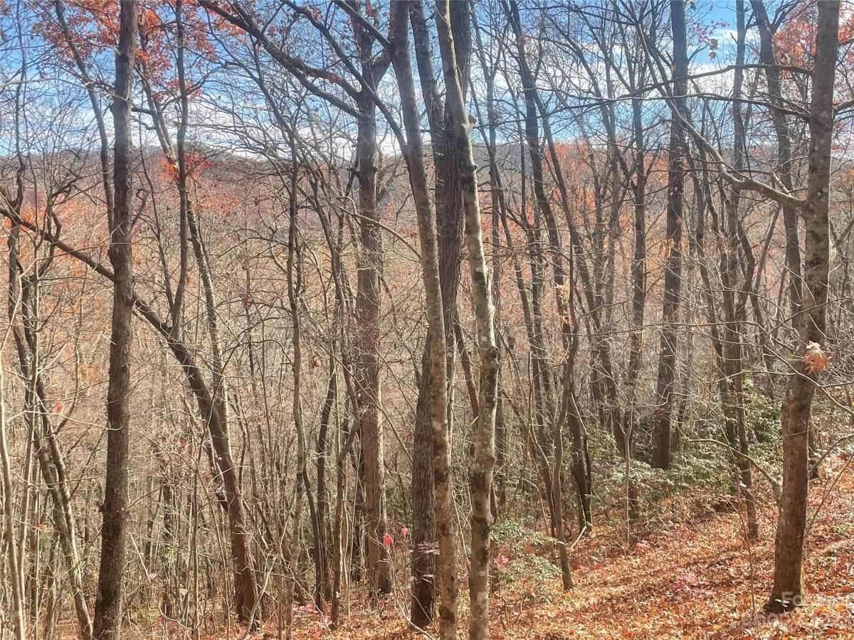 MLS #CAR4083031 image #4