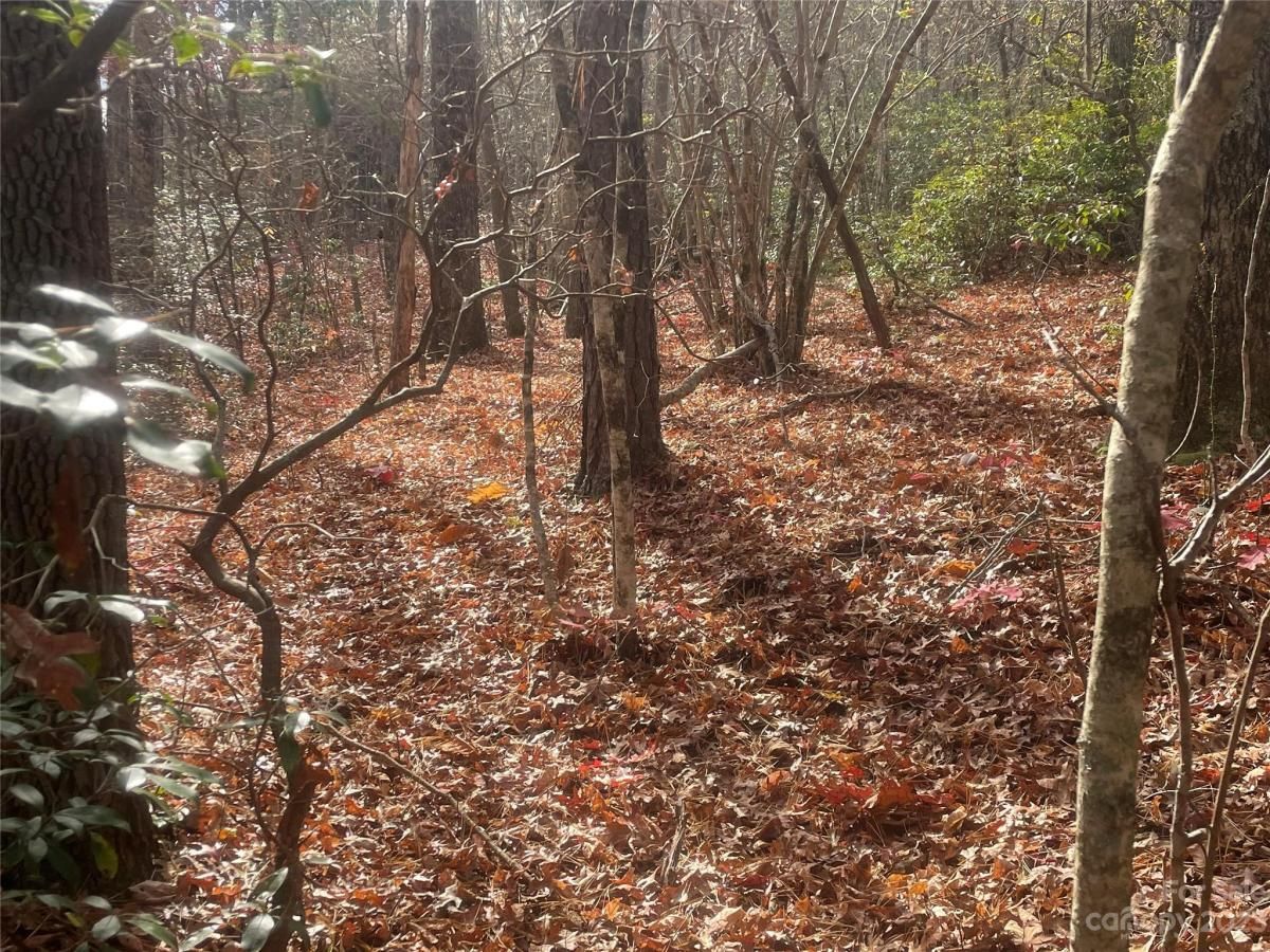 MLS #CAR4083031 image #5