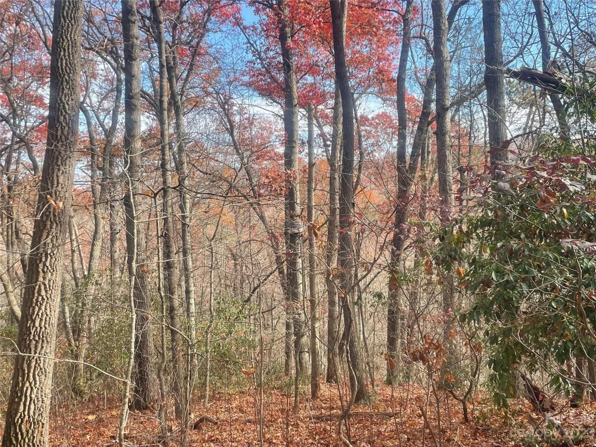 MLS #CAR4083031 image #7