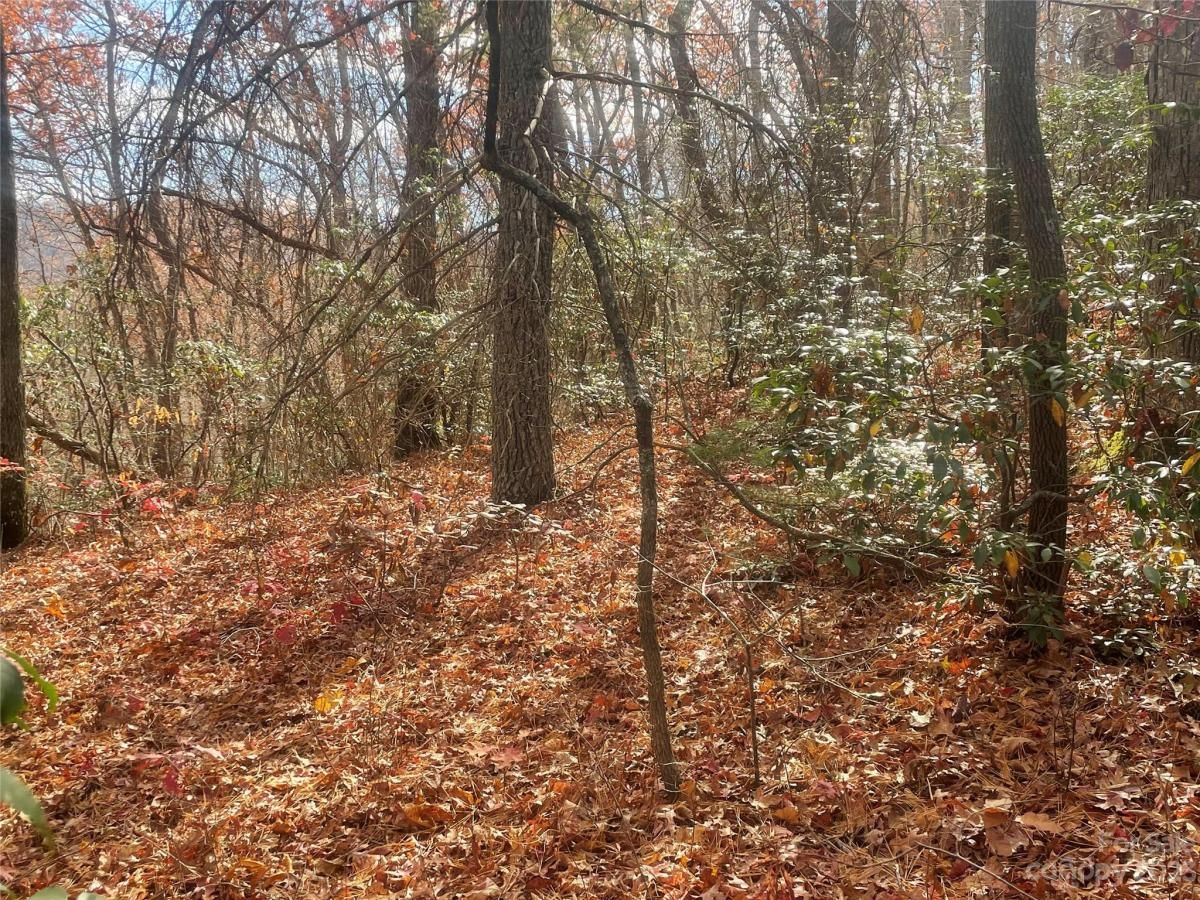 MLS #CAR4083031 image #8