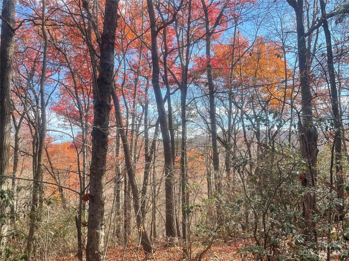 MLS #CAR4083031 image #9