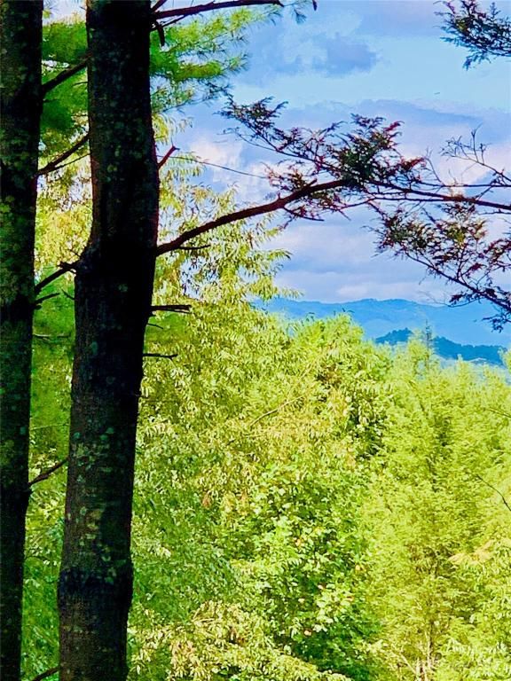 MLS #CAR4083928 image #10