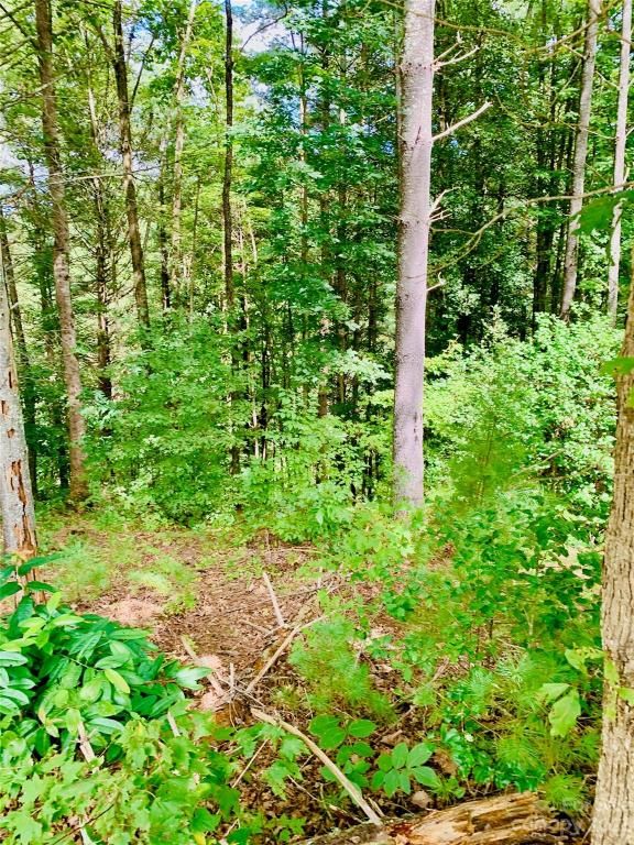 MLS #CAR4083928 image #6