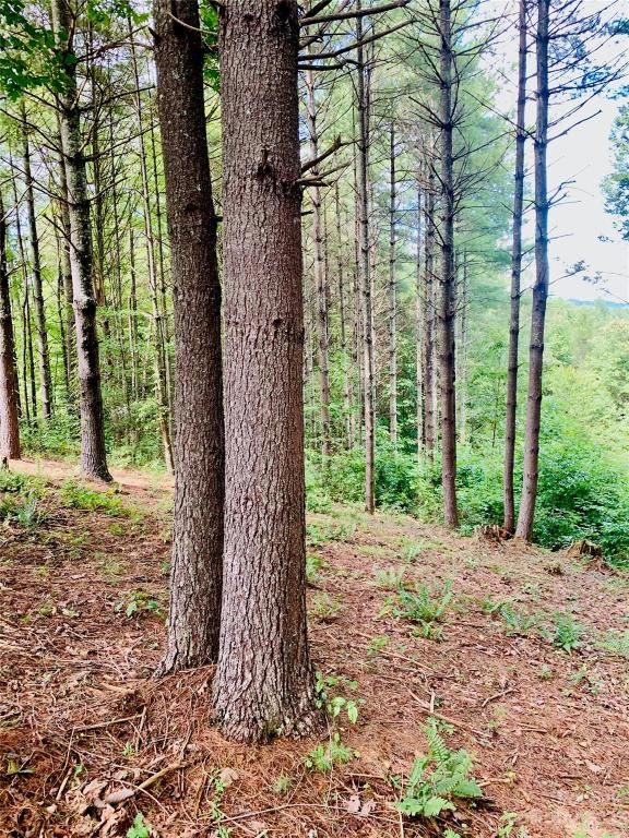 MLS #CAR4083928 image #7