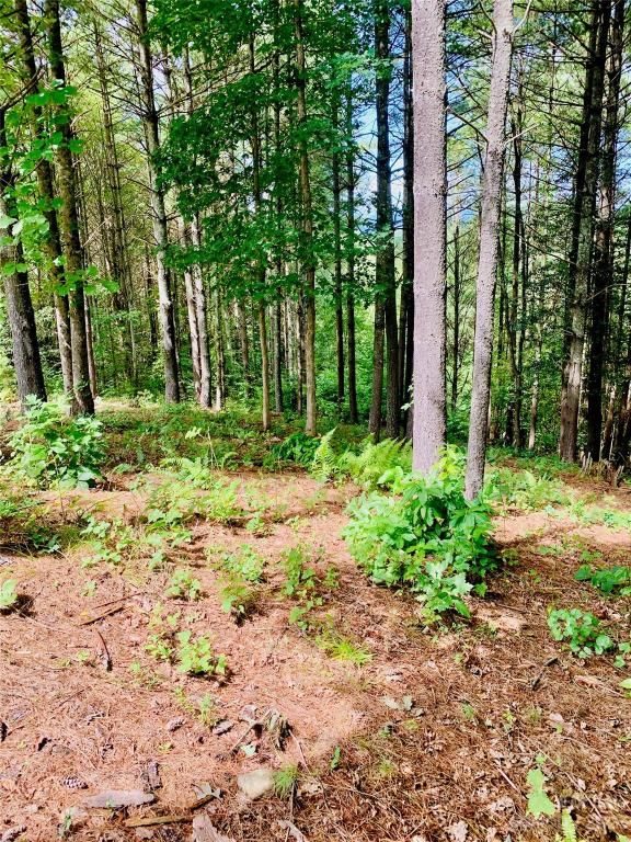 MLS #CAR4083928 image #8