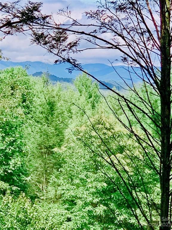 MLS #CAR4083928 image #9