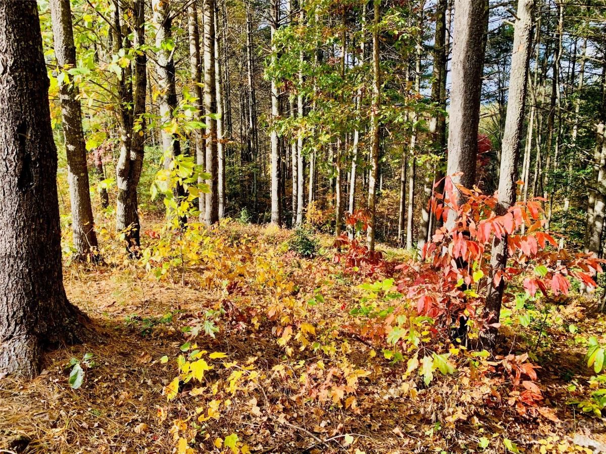 MLS #CAR4083928 image #1