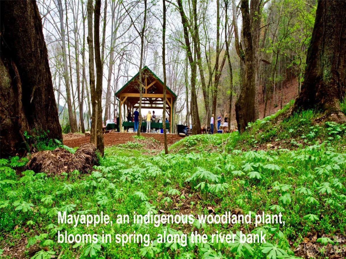 MLS #CAR4083928 image #29