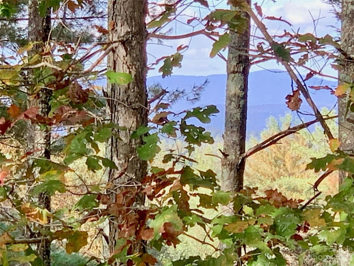 MLS #CAR4083928 image #3