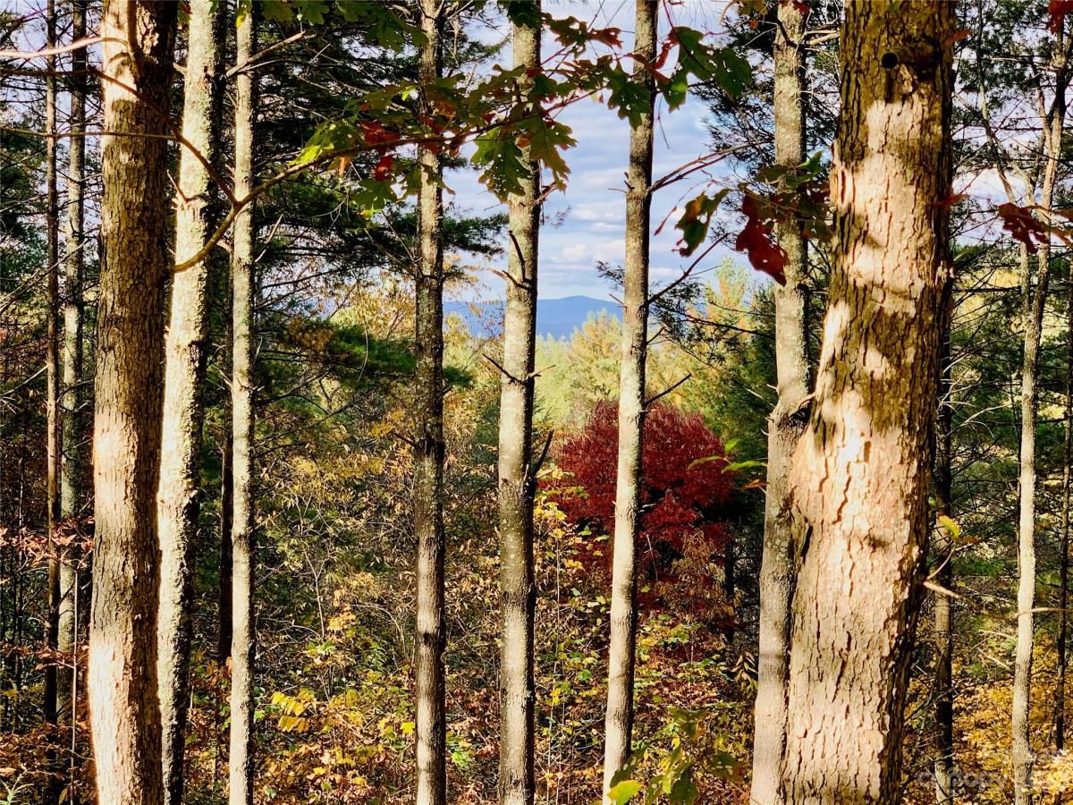 MLS #CAR4083928 image #4