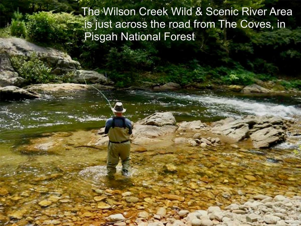 MLS #CAR4083928 image #42