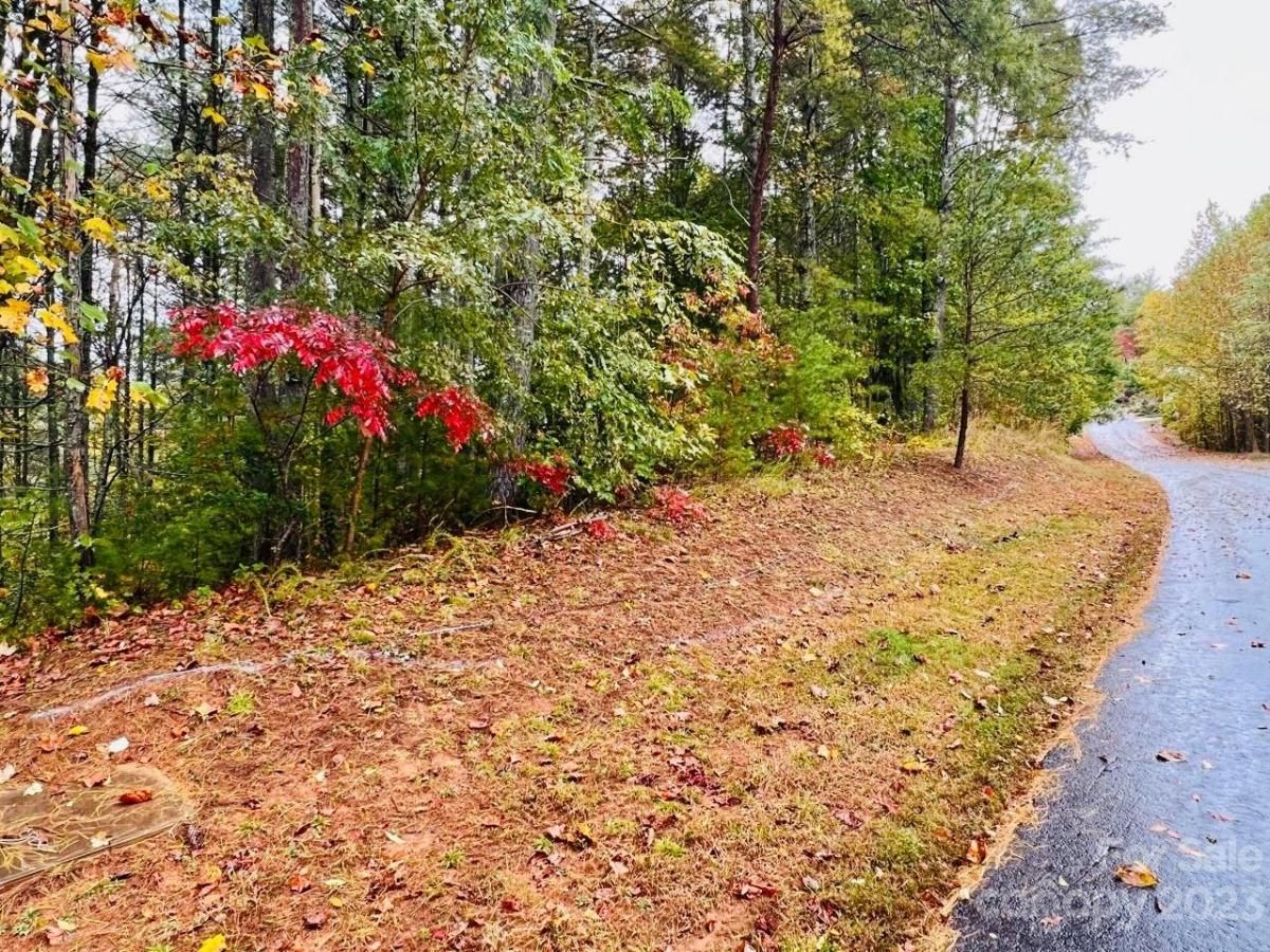 MLS #CAR4083928 image #5