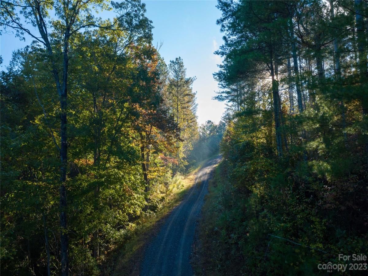 MLS #CAR4083944 image #37