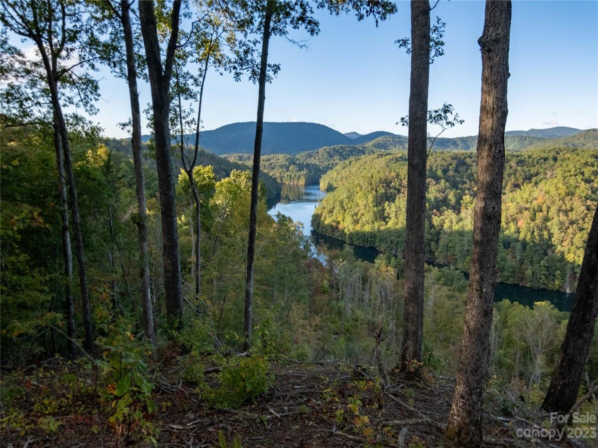 MLS #CAR4083944 image #38