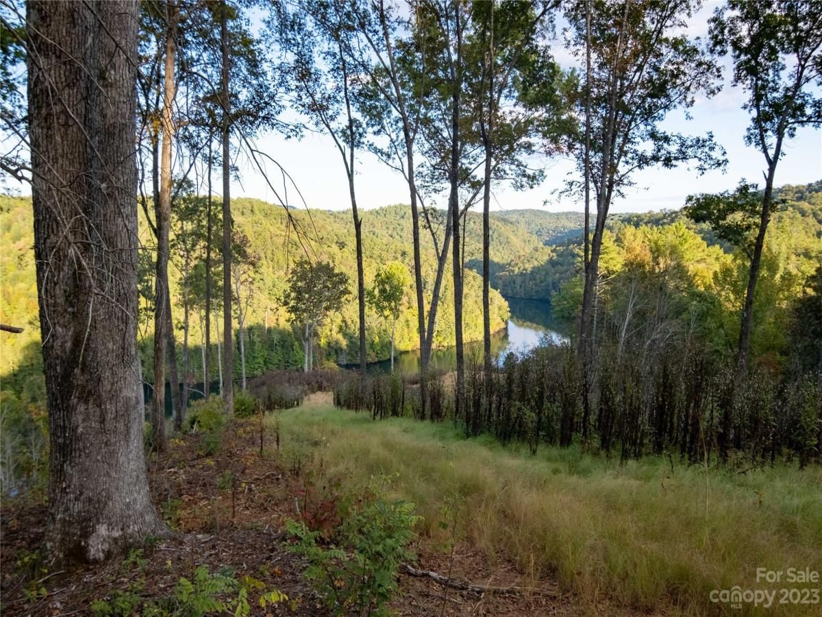 MLS #CAR4083944 image #39