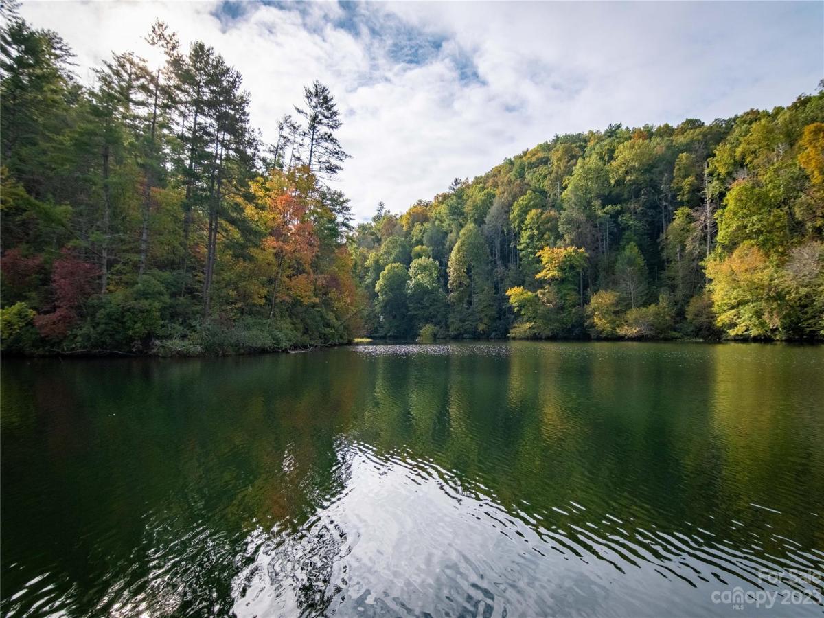 MLS #CAR4083944 image #40