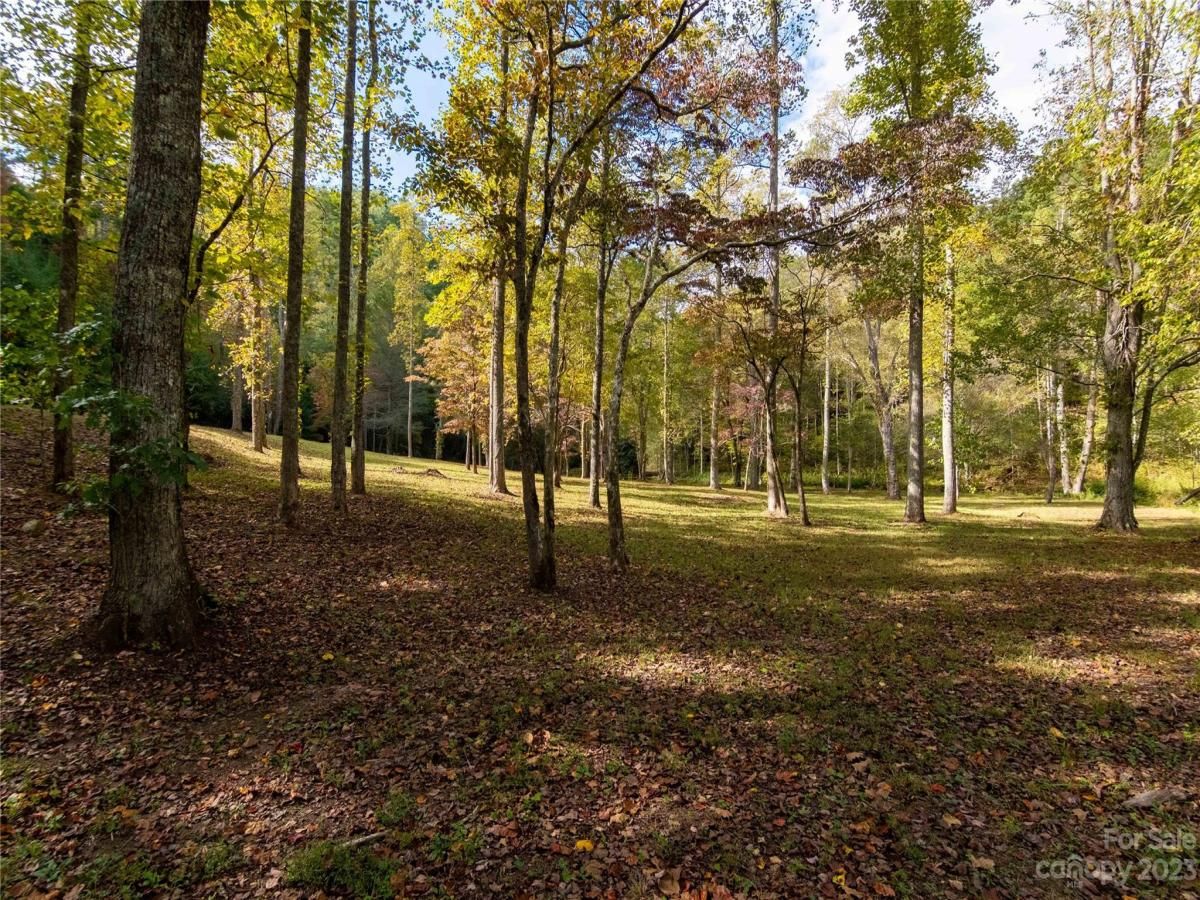 MLS #CAR4083944 image #44