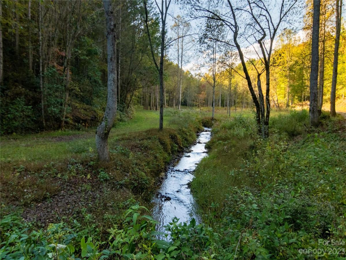 MLS #CAR4083944 image #45