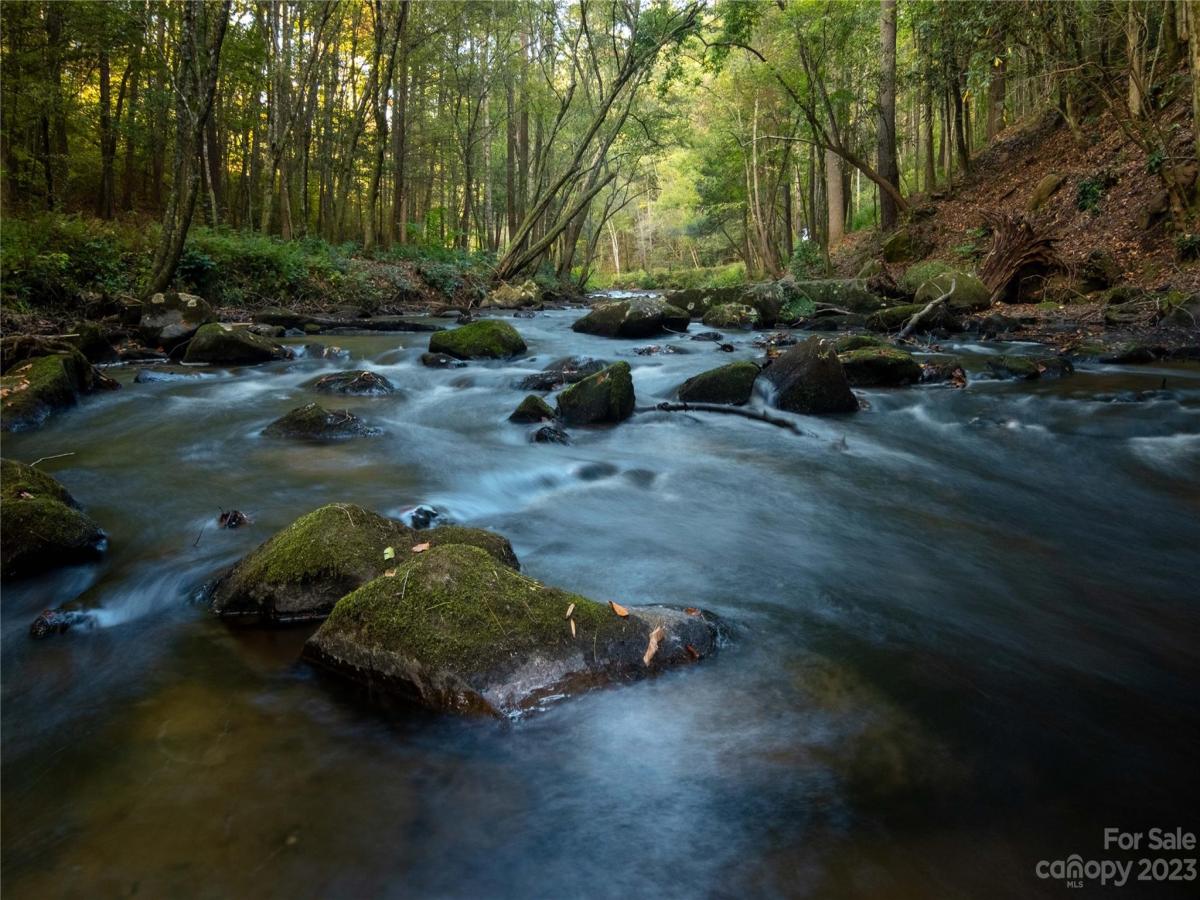 MLS #CAR4083944 image #9