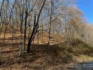 MLS #CAR4085005 image #2