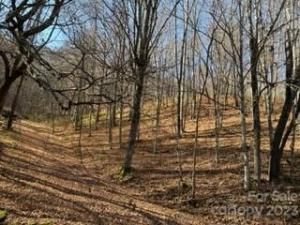 MLS #CAR4085005 image #3