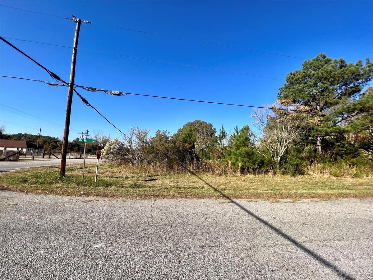 MLS #CAR4086262 image #3