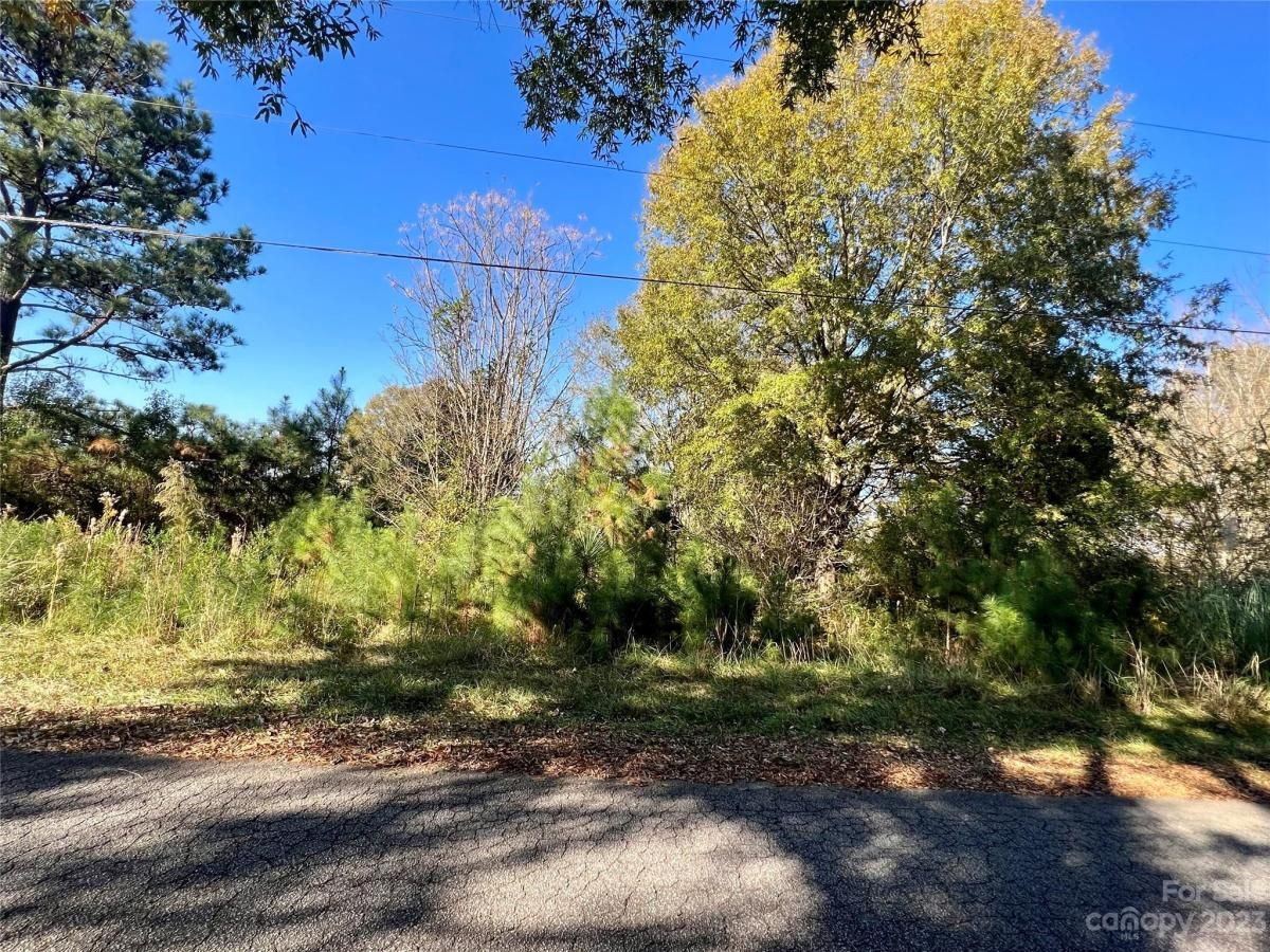 MLS #CAR4086262 image #5