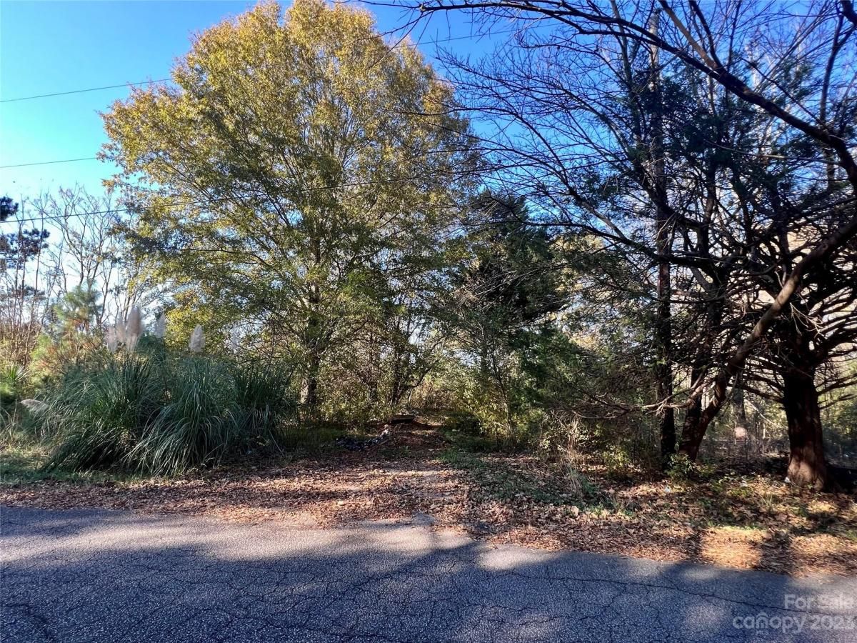 MLS #CAR4086262 image #6