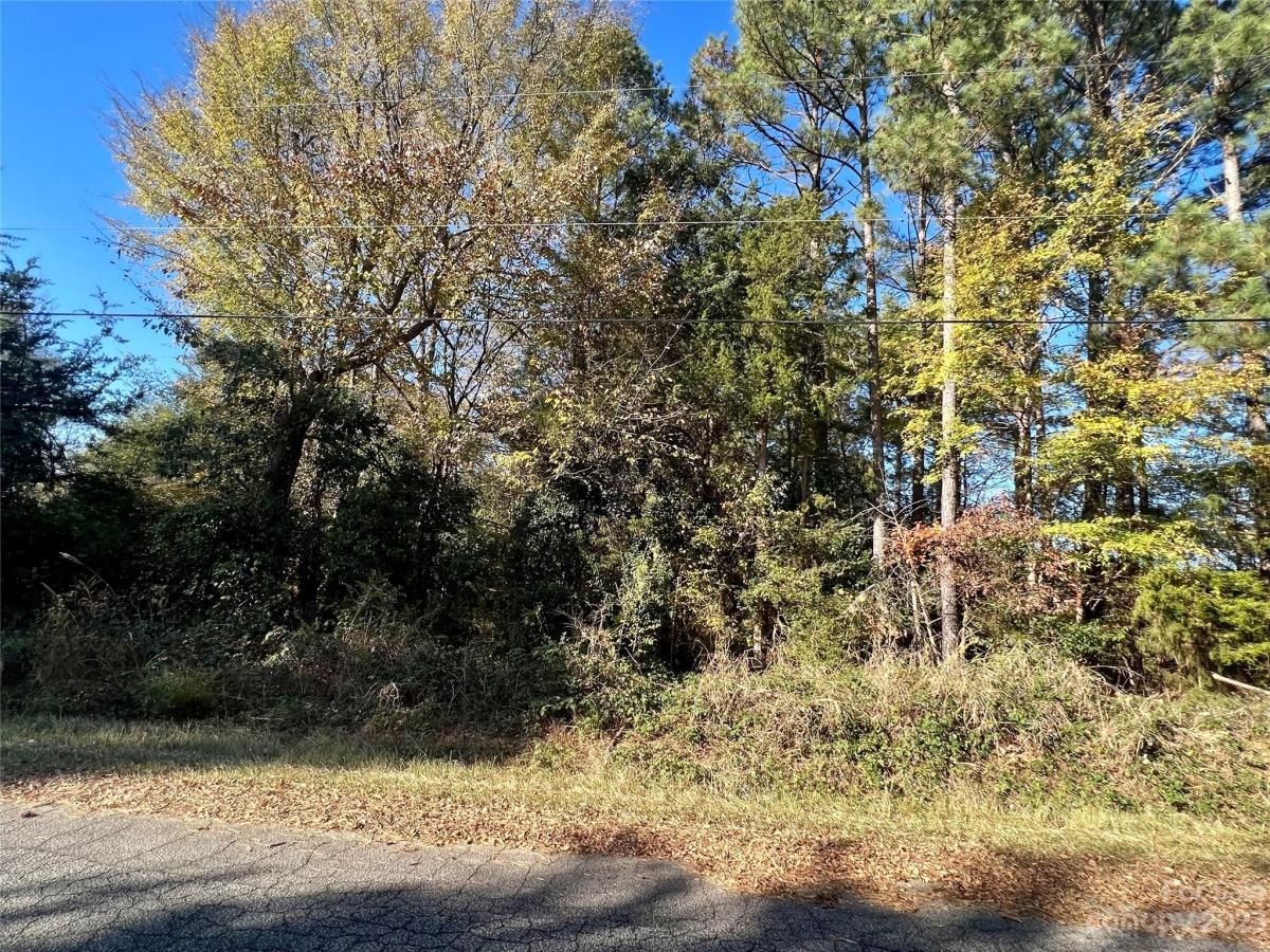 MLS #CAR4086262 image #7