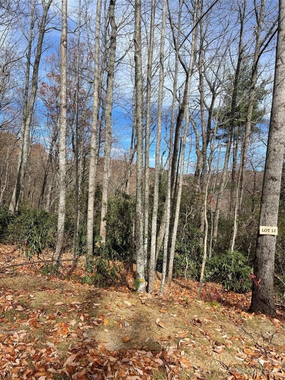 MLS #CAR4087896 image #3