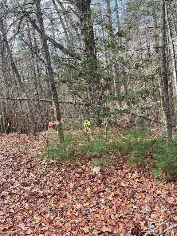 MLS #CAR4087901 image #1