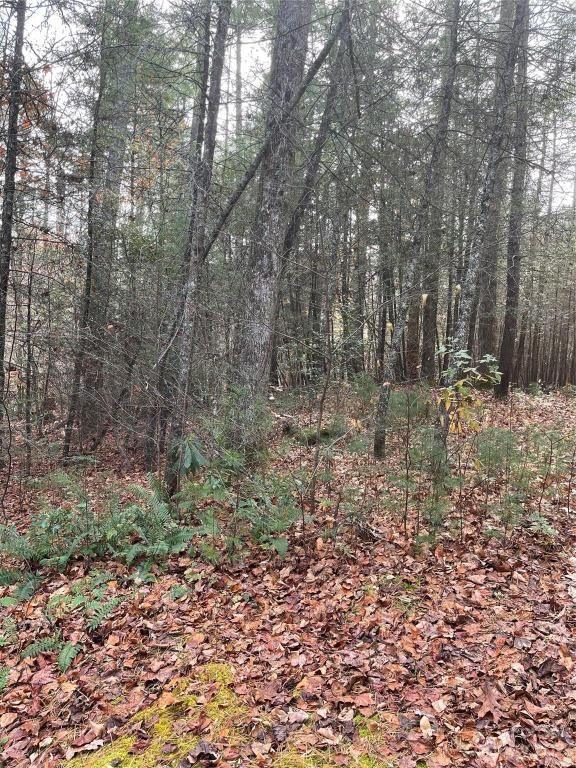 MLS #CAR4087901 image #2