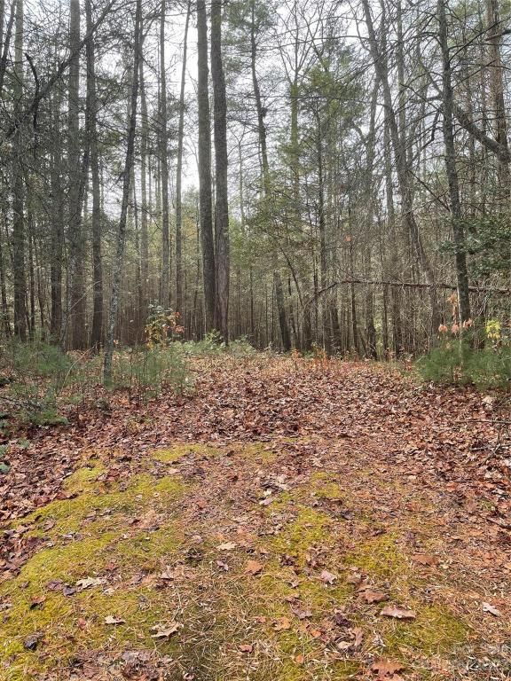 MLS #CAR4087901 image #3