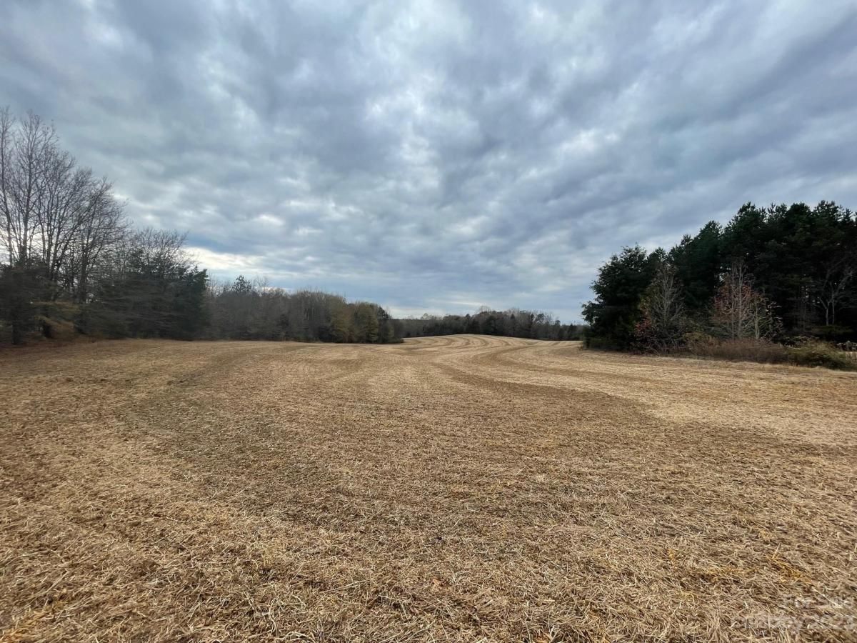 MLS #CAR4087941 image #4