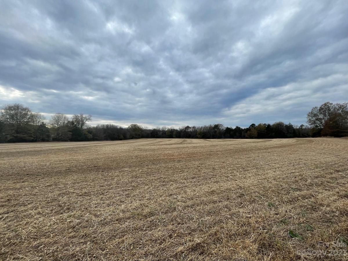 MLS #CAR4087941 image #6