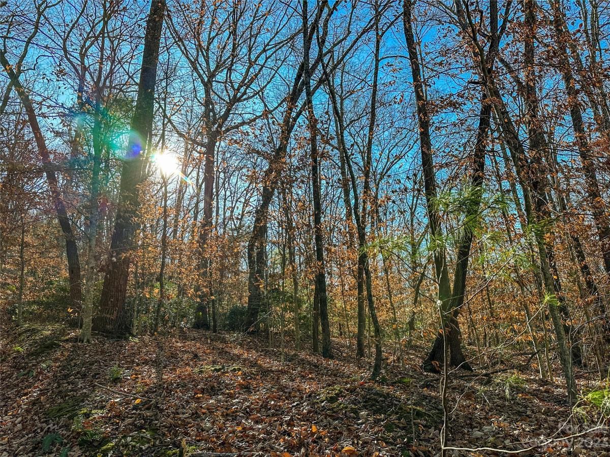 MLS #CAR4088560 image #6