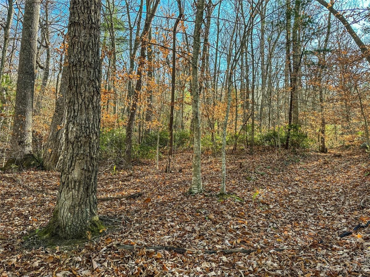 MLS #CAR4088560 image #7