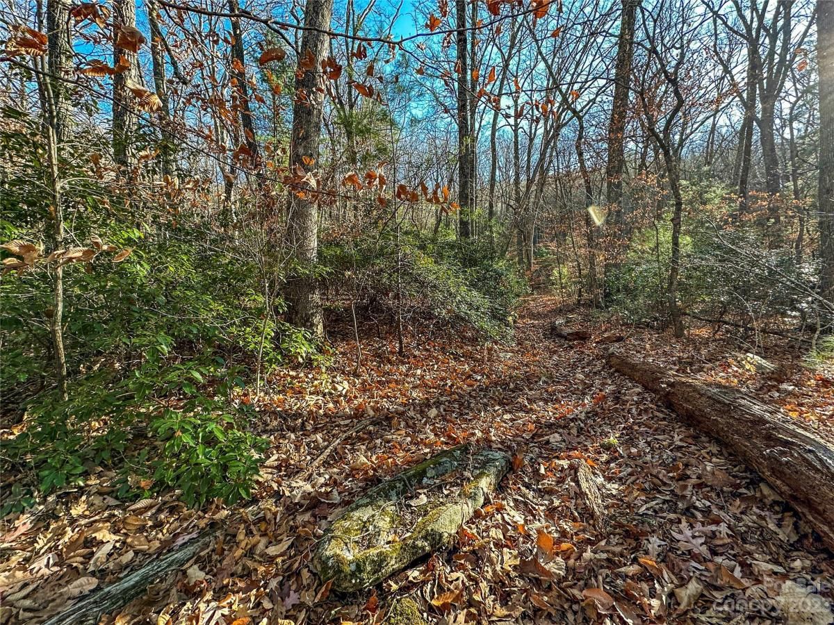 MLS #CAR4088560 image #8