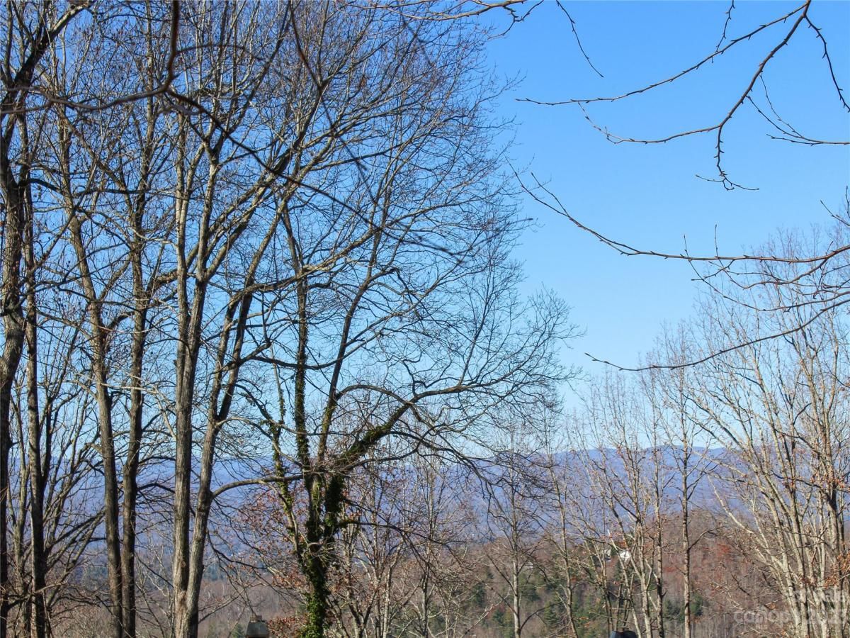 MLS #CAR4089121 image #1