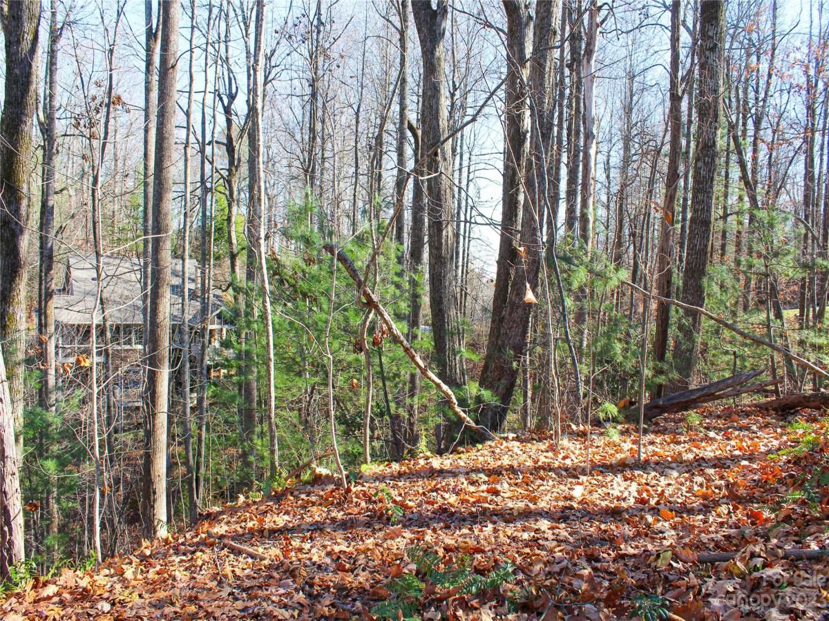 MLS #CAR4089121 image #10