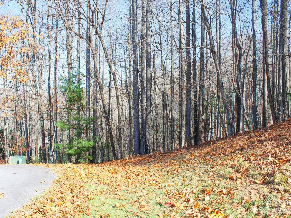 MLS #CAR4089121 image #11