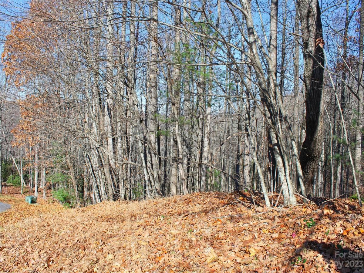 MLS #CAR4089121 image #2