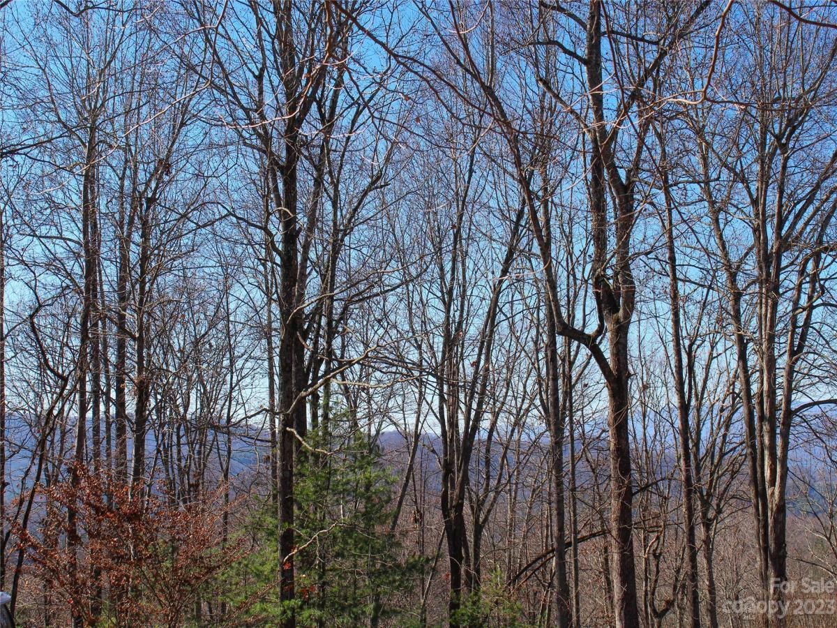 MLS #CAR4089121 image #3