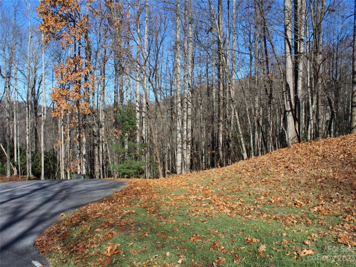 MLS #CAR4089121 image #4