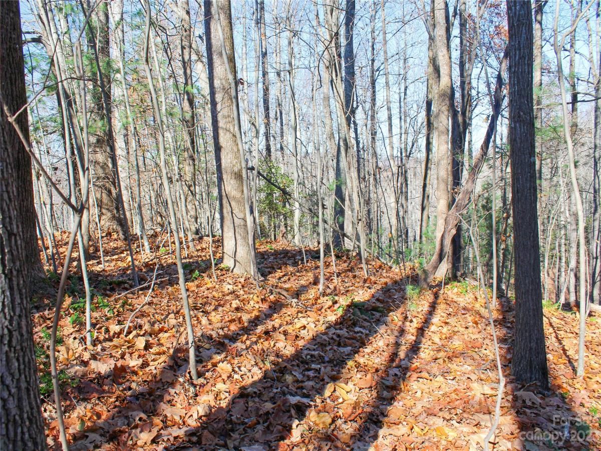 MLS #CAR4089121 image #5